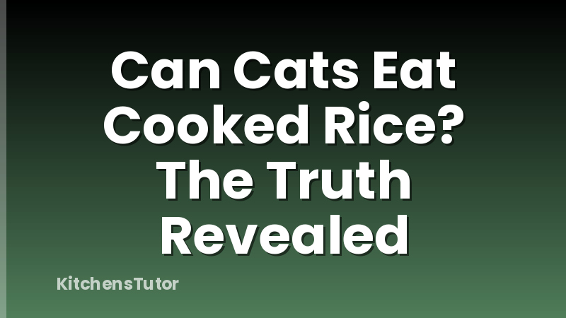 Can Cats Eat Cooked Rice? The Truth Revealed
