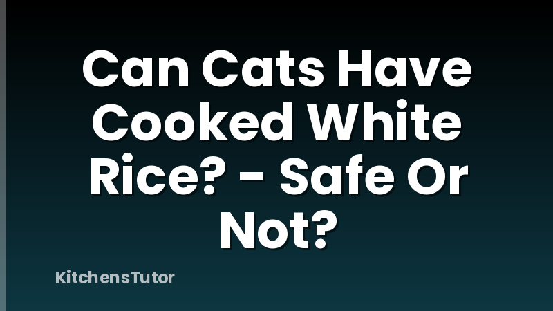 Can Cats Have Cooked White Rice? - Safe Or Not?
