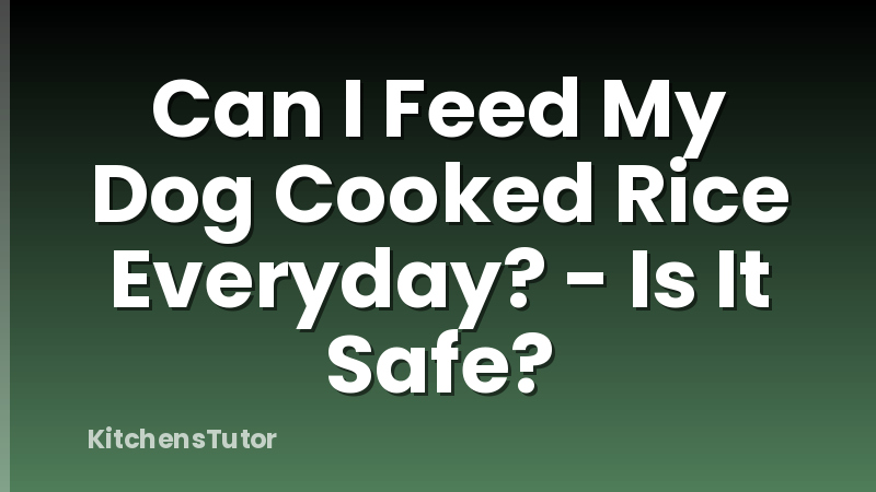 Can I Feed My Dog Cooked Rice Everyday? - Is It Safe?