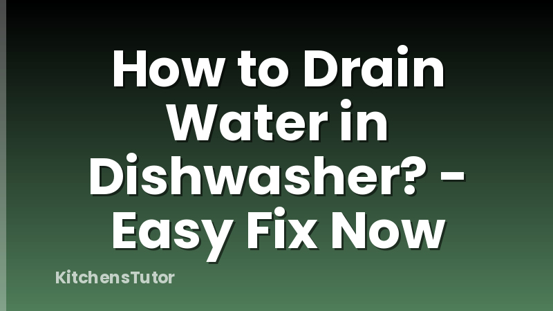 How to Drain Water in Dishwasher? - Easy Fix Now
