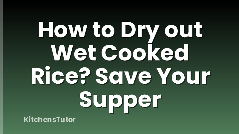 How to Dry out Wet Cooked Rice? Save Your Supper