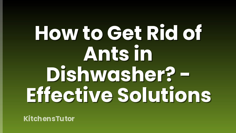 How to Get Rid of Ants in Dishwasher? - Effective Solutions