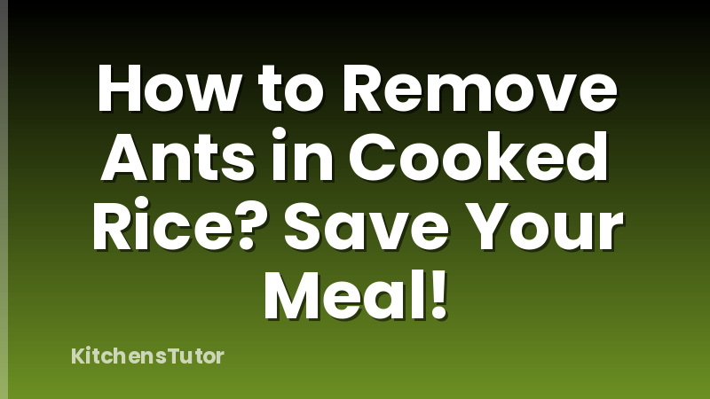 How to Remove Ants in Cooked Rice? Save Your Meal!