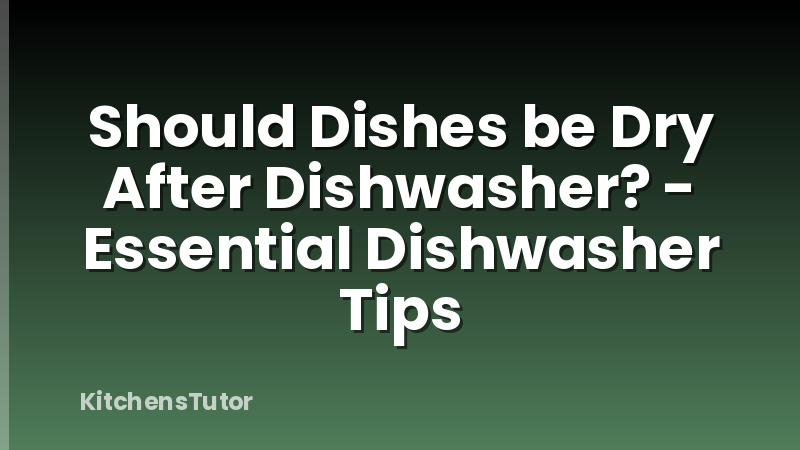 Should Dishes be Dry After Dishwasher? - Essential Dishwasher Tips