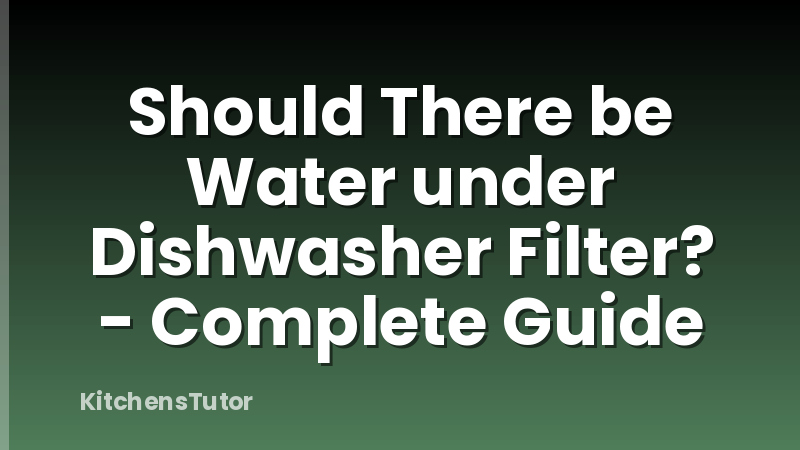 Should There be Water under Dishwasher Filter? - Complete Guide