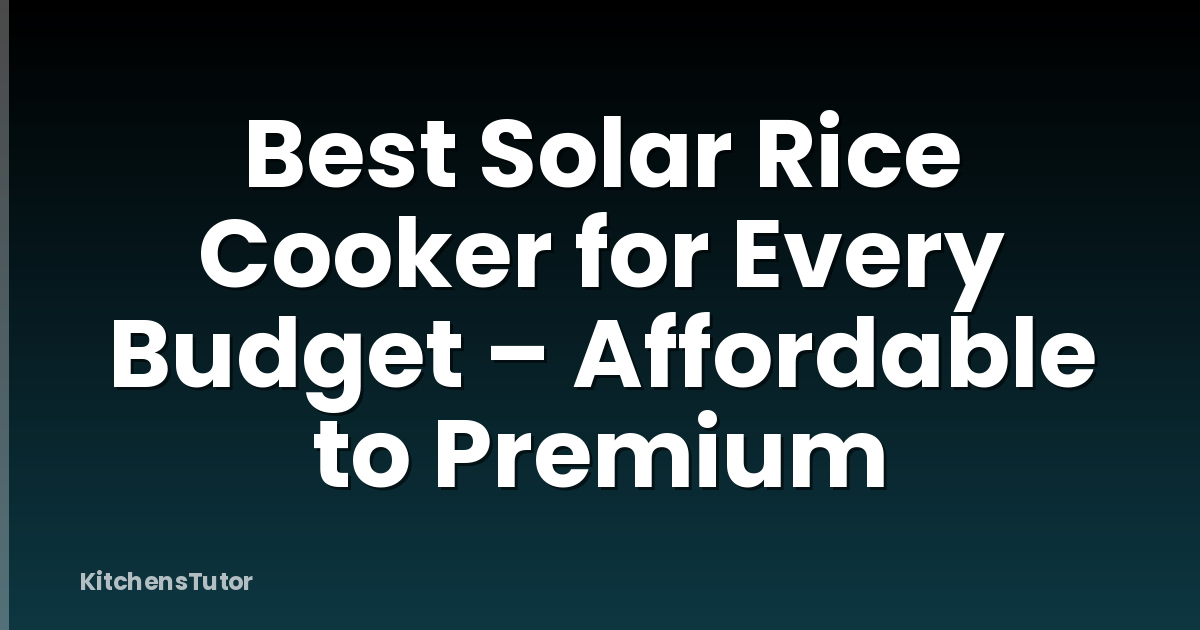Best Solar Rice Cooker for Every Budget – Affordable to Premium