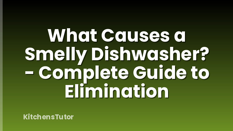 What Causes a Smelly Dishwasher? - Complete Guide to Elimination
