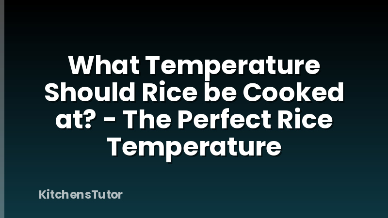 What Temperature Should Rice be Cooked at? - The Perfect Rice Temperature