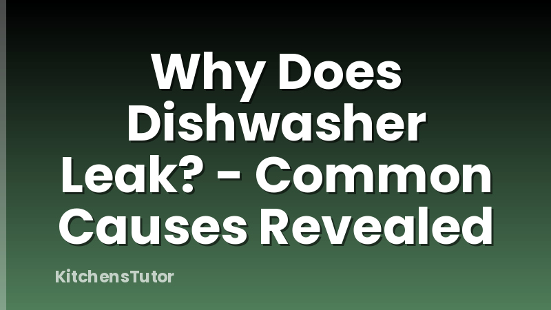 Why Does Dishwasher Leak? - Common Causes Revealed