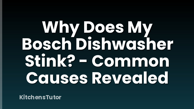 Why Does My Bosch Dishwasher Stink? - Common Causes Revealed