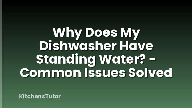 Why Does My Dishwasher Have Standing Water? - Common Issues Solved
