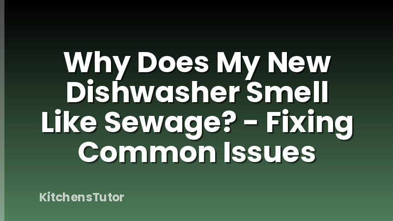 Why Does My New Dishwasher Smell Like Sewage? - Fixing Common Issues