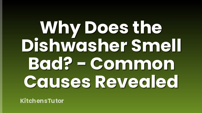 Why Does the Dishwasher Smell Bad? - Common Causes Revealed